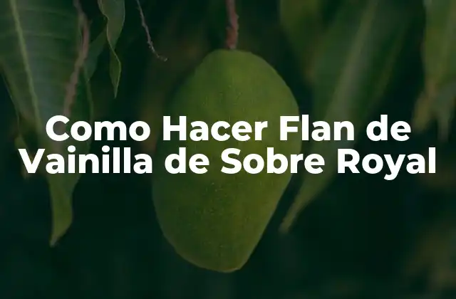 Como Hacer Flan de Vainilla de sobre Royal