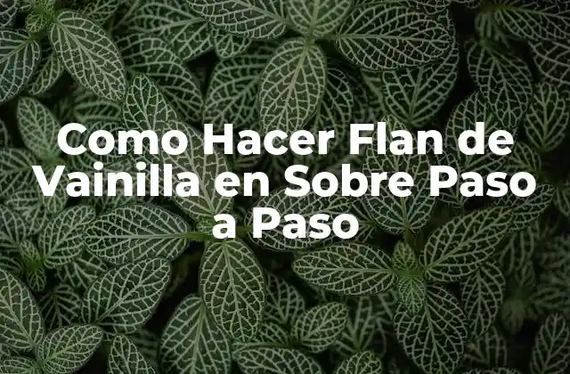 Como Hacer Flan de Vainilla en sobre Paso a Paso