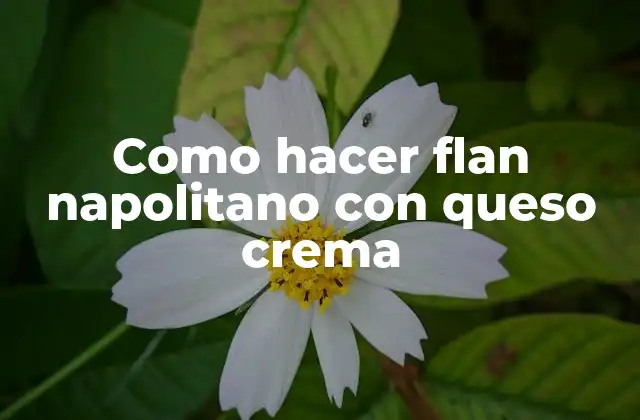 Flan napolitano con queso crema