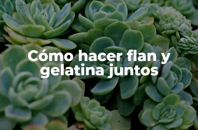 Cómo Hacer Flan y Gelatina Juntos