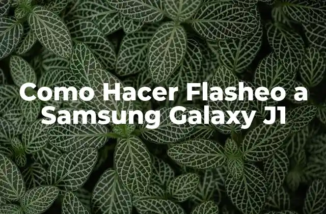 Como Hacer Flasheo a Samsung Galaxy J1