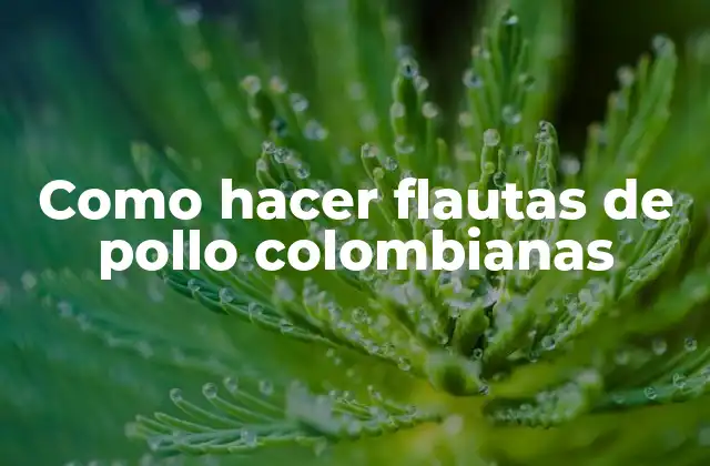 Como Hacer Flautas de Pollo Colombianas