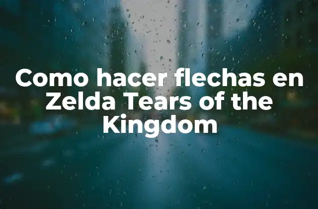 Como Hacer Flechas en Zelda Tears Of The Kingdom