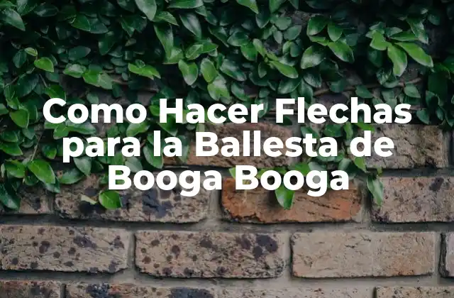 Como Hacer Flechas para la Ballesta de Booga Booga