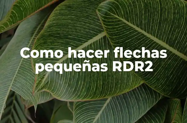 Como Hacer Flechas Pequeñas Rdr2