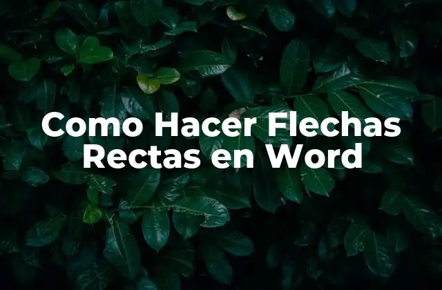 Como Hacer Flechas Rectas en Word 2 ¿Qué son las Flechas Rectas en Word?