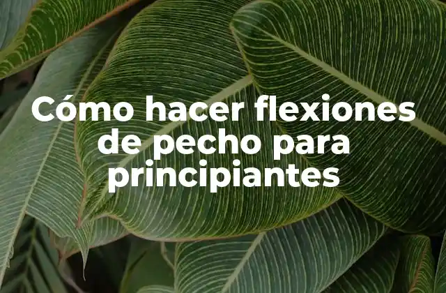 Cómo Hacer Flexiones de Pecho para Principiantes
