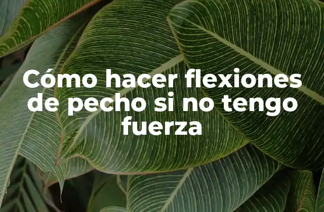 Cómo Hacer Flexiones de Pecho Si No Tengo Fuerza