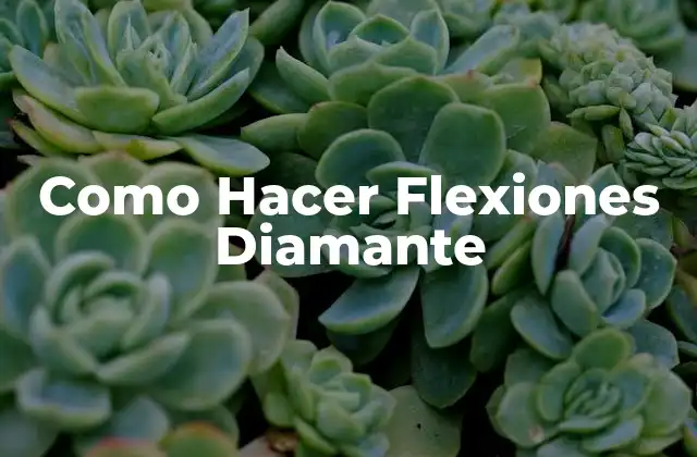 Como Hacer Flexiones Diamante