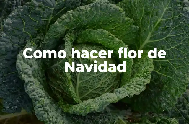 Como Hacer Flor de Navidad