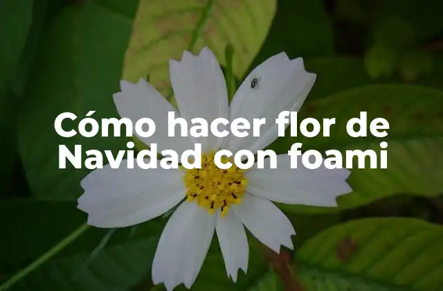 Flor de Navidad con foami