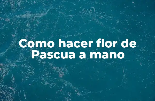 ¿Qué es una flor de Pascua y para qué sirve?