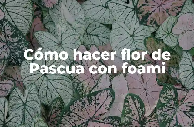 Cómo Hacer Flor de Pascua con Foami