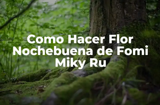 Como Hacer Flor Nochebuena de Fomi Miky Ru