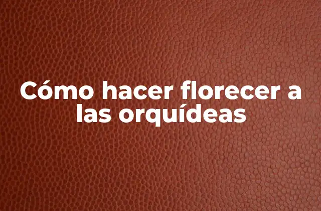 Cómo Hacer Florecer a las Orquídeas