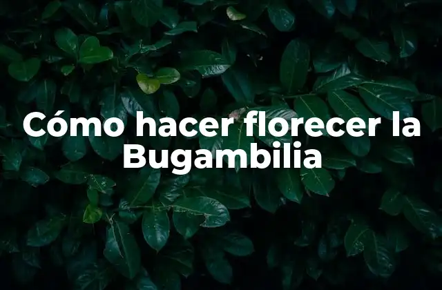 Cómo Hacer Florecer la Bugambilia