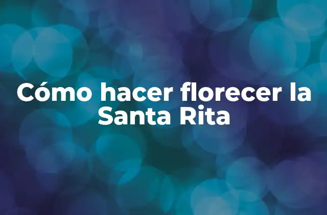 Cómo Hacer Florecer la Santa Rita