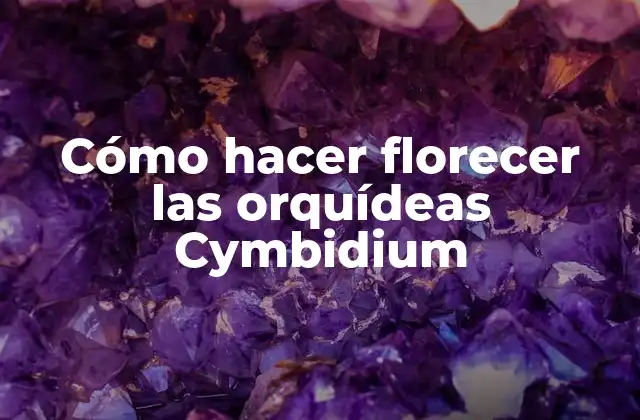 Cómo hacer florecer las orquídeas Cymbidium