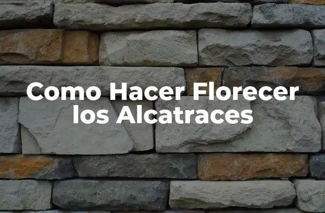 Como Hacer Florecer los Alcatraces