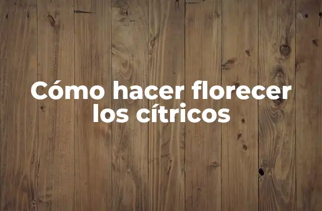 Cómo Hacer Florecer los Cítricos