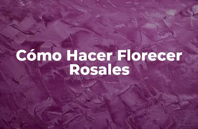 Cómo Hacer Florecer Rosales