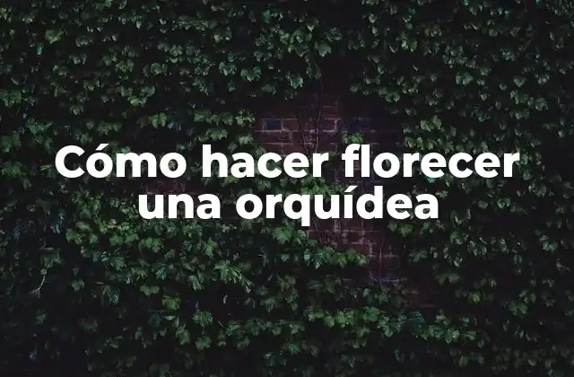 Cómo Hacer Florecer una Orquídea