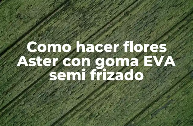 Como Hacer Flores Aster con Goma Eva Semi Frizado