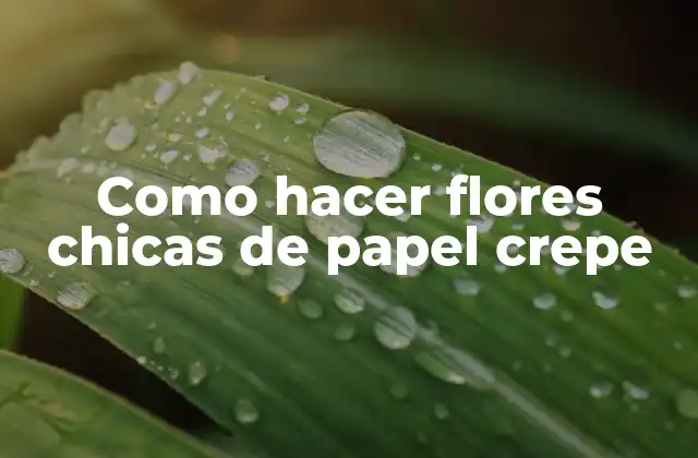 Como Hacer Flores Chicas de Papel Crepe