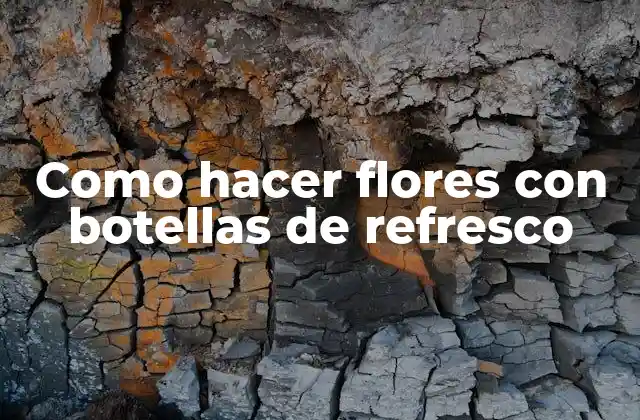 Como Hacer Flores con Botellas de Refresco