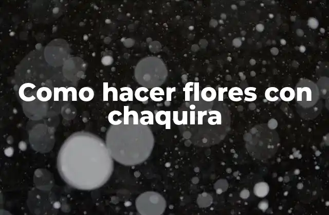 Chaquira: una introducción a este material versátil