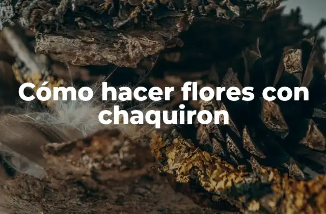 Cómo Hacer Flores con Chaquiron