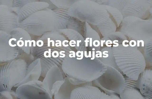 Cómo Hacer Flores con Dos Agujas