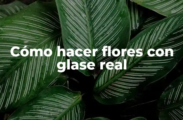 ¿Qué es el glase real y para qué sirve?