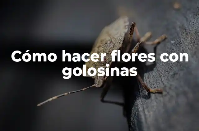 Cómo Hacer Flores con Golosinas
