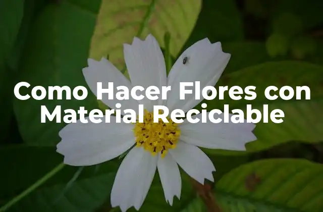 Como Hacer Flores con Material Reciclable 2 ¿Qué son las Flores con Material Reciclable?