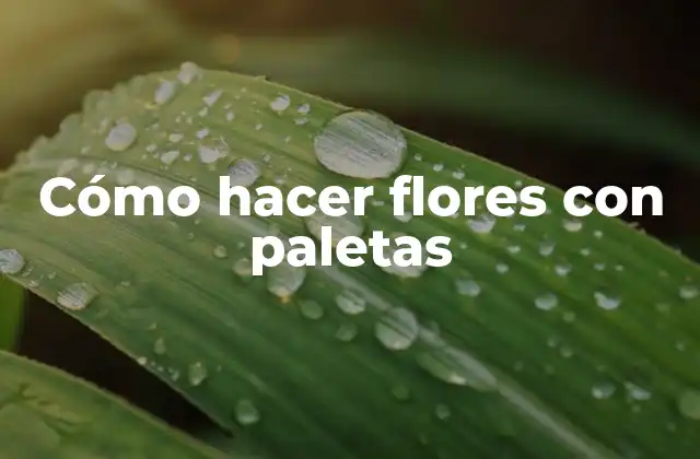Cómo Hacer Flores con Paletas 2 Cómo hacer flores con paletas