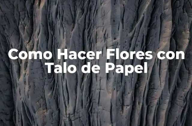 Como Hacer Flores con Talo de Papel