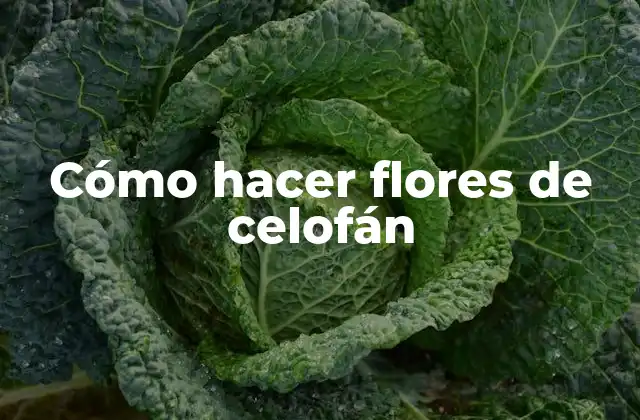 Cómo Hacer Flores de Celofán