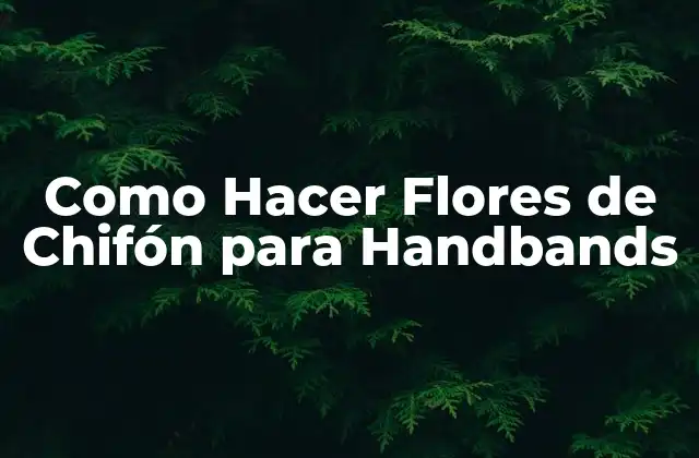 Como Hacer Flores de Chifón para Handbands