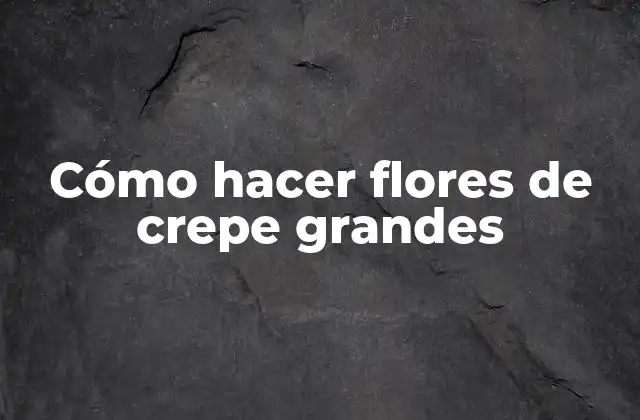 Cómo Hacer Flores de Crepe Grandes