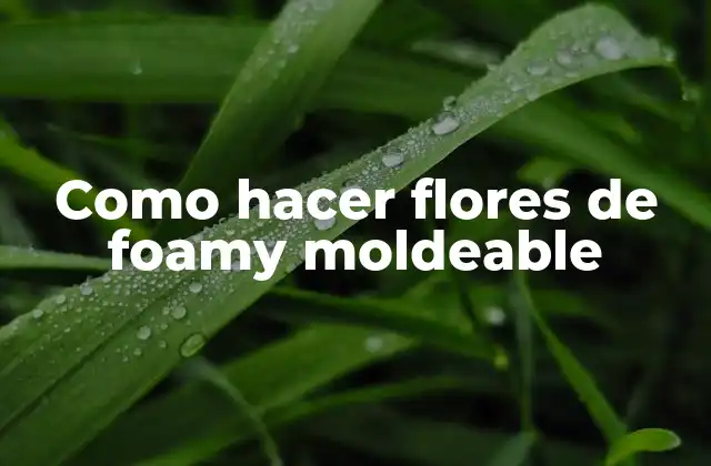 Como Hacer Flores de Foamy Moldeable