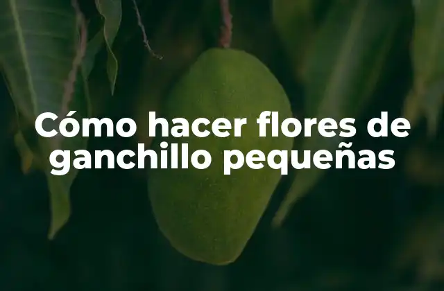 Cómo Hacer Flores de Ganchillo Pequeñas