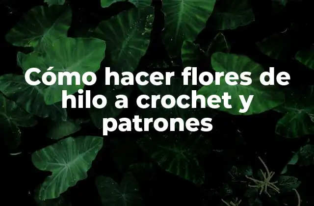 Cómo Hacer Flores de Hilo a Crochet y Patrones