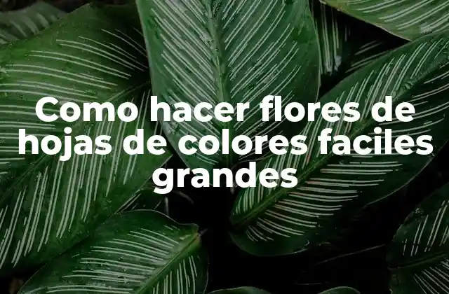 Como Hacer Flores de Hojas de Colores Faciles Grandes