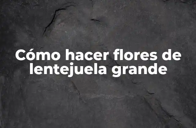 Cómo Hacer Flores de Lentejuela Grande