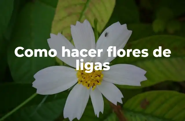 Como Hacer Flores de Ligas