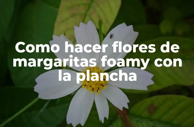 Como Hacer Flores de Margaritas Foamy con la Plancha