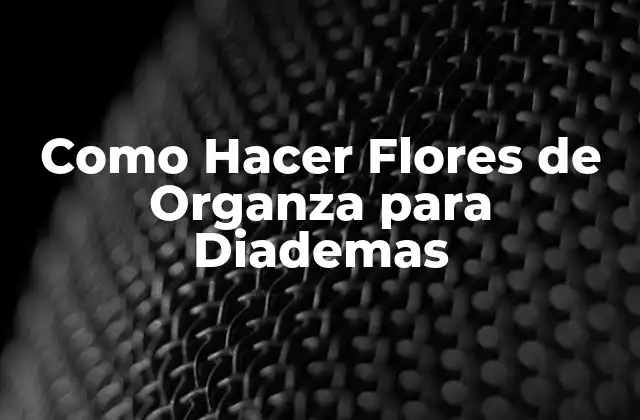 Como Hacer Flores de Organza para Diademas