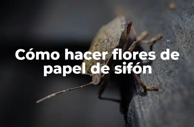 Cómo Hacer Flores de Papel de Sifón