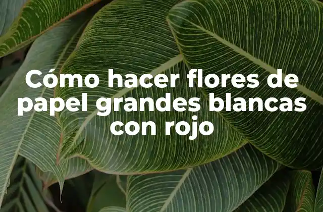 Cómo Hacer Flores de Papel Grandes Blancas con Rojo